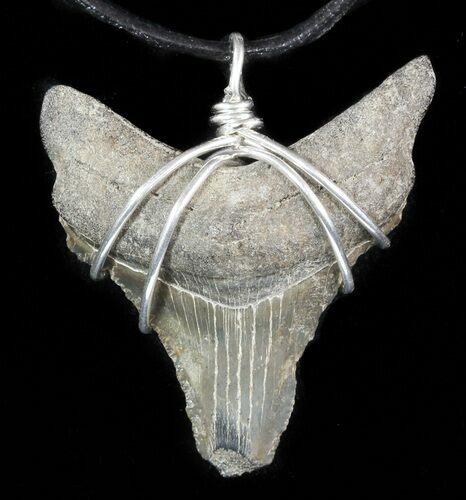 Fossil Megalodon Tooth Necklace #47770